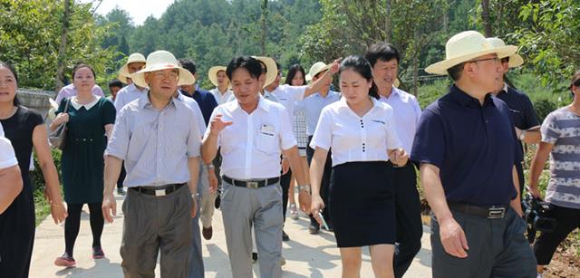 农业部副部长张桃林莅临资源湘西黑猪产业园考察指导