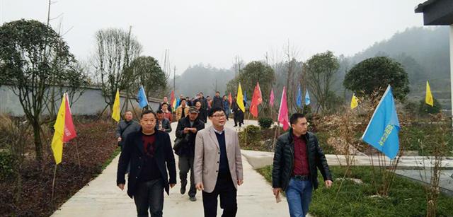 资源湘西黑猪原种场获当地政府点赞