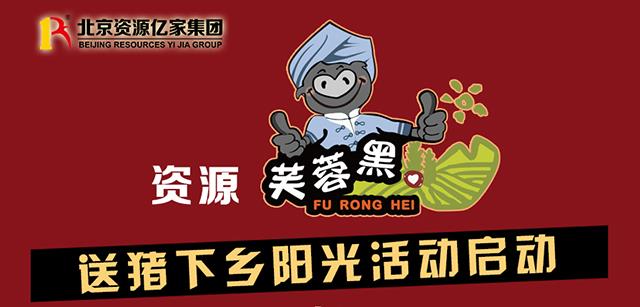 资源芙蓉黑·送猪下乡阳光活动启动